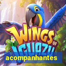 acompanhantes chamadas de video